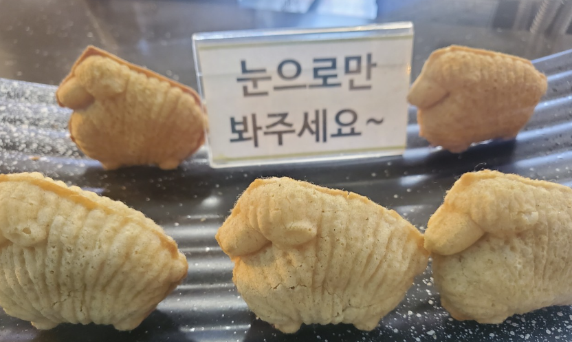 “도박은 잃기 위해 하는 것? 난 수학으로 이겨버렸다” – 양방충의 고백록 1 1010캡처