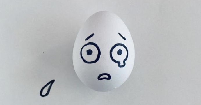 🎲 돈은 왜 늘 딜러 편인가? 카지노의 진실 1 161616캡처