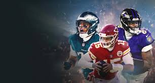 🏈 “괴물들의 전쟁터, NFL의 전설과 오늘” 1 image 39