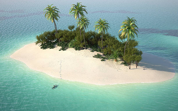 “서바이버부터 정글의 법칙까지, 생존 대회의 모든 것”🏝️ 1 image 51